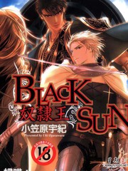 BLACK SUN奴隶王