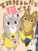 叫了家政来了猫