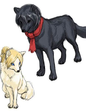 p站笠尼兽化短漫系列